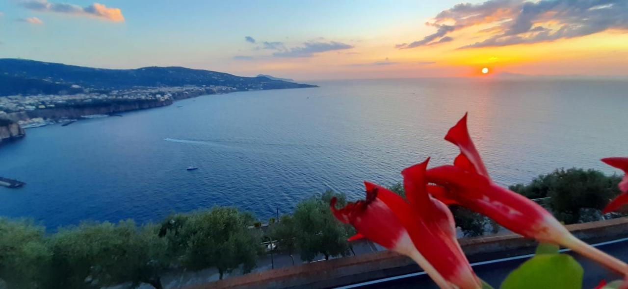 Bella Vista House-Sorrento Coast - Free Parking-Solarium Apartment Vico Equense Exterior photo